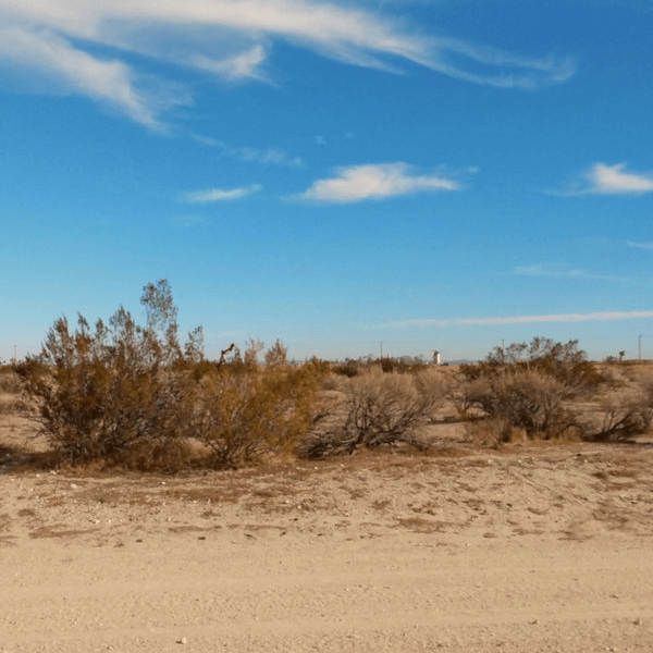 trail in the desert