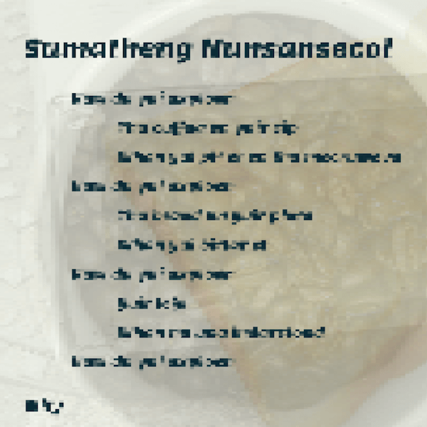 A heavily pixelated poem is displayed on top of a piece of toast, coffee beans, and a microwave.